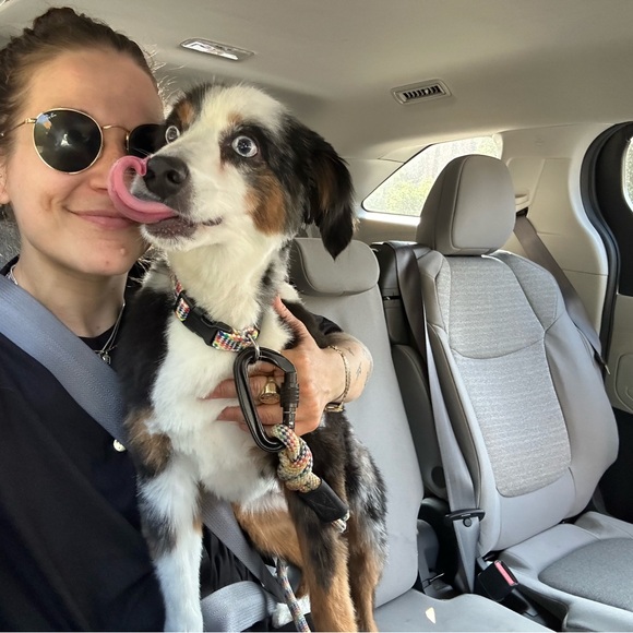 Meet your Posher, Nicole - Picture 1 of 1